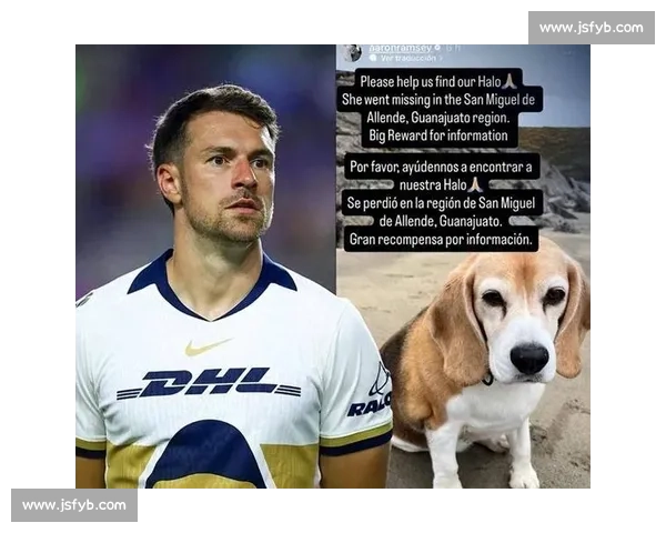 拉姆塞悬赏万美金寻犬 Halo,三周搜寻仍盼归期