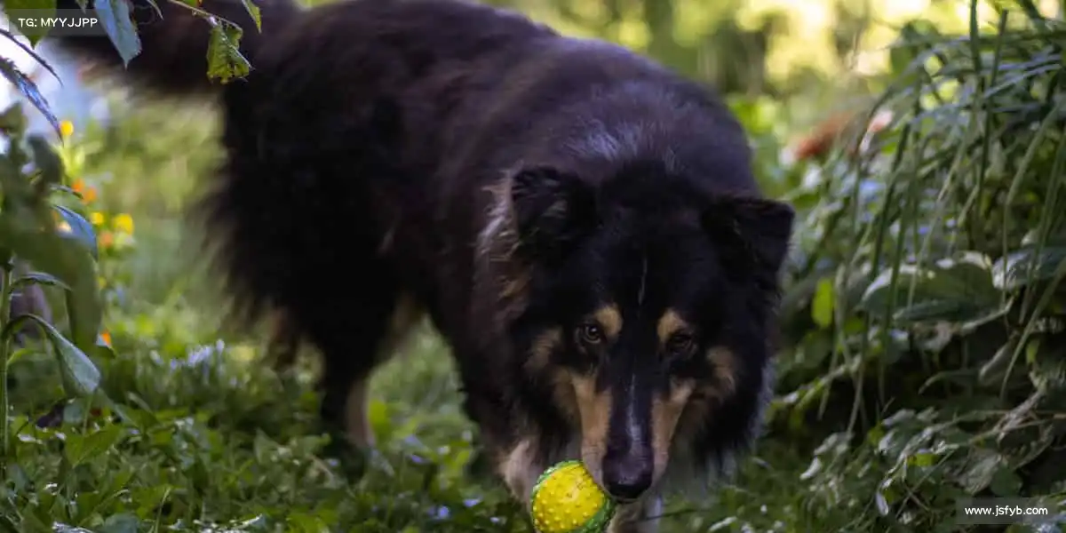 为什么选择我们